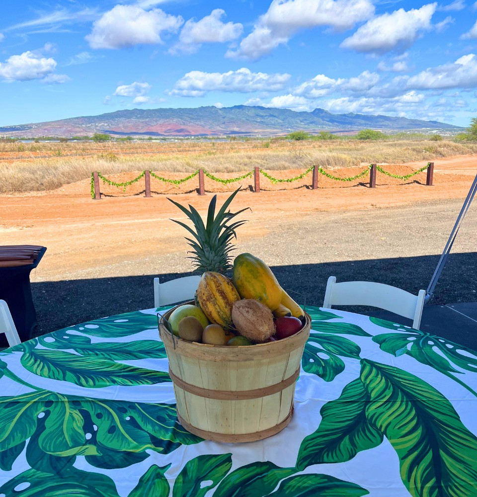 A table with a colorful basket filled with various fruits.